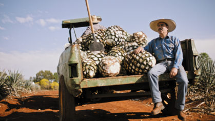 Casa Mexico Tequila JALISCO